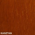 kasztan 2.jpg