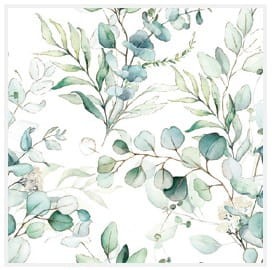 eucaliptus-twigs.jpg