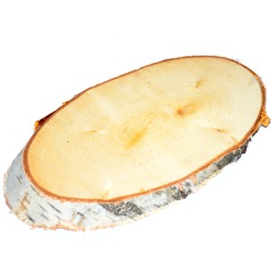 Plaster brzozy z korą - baza pod stroik XL 