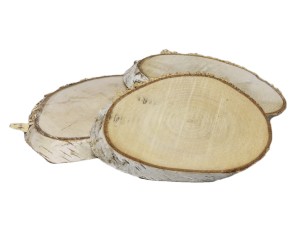 Zestaw 3szt plastrów brzozy w siatce - baza pod stroik XL