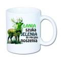 wz6.jpg