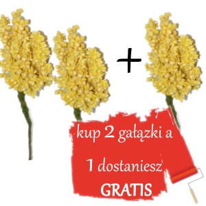 Jaśmin suszony, susz ozodbny kremowy wiązka 28cm / 2+1 gratis