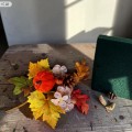decabfc196c5a94acdf7f0e2d2e234ff.jpg