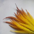 4fd37db0fd062b05dd23f627343d0a3d.jpg