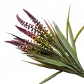 40c9550df8d78693d07205460bb63a29.jpg