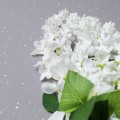 6ff88a166755bdff39a7ca5297f6bec8.jpg