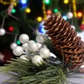 3d9fed208be2d7a843dc7cf980db09d6.jpg