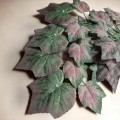 8b9b58f5c7ee8f08d8c2dde00aafae5f.jpg