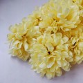 c31ff7a9ae553fa61d2b68d6f5f0ecd8.jpg