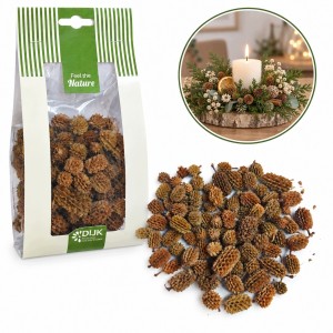 Szyszki CASURINA 100g naturalne Suszone Do Stroików Wianków 100 g dekoracji