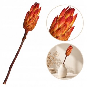 Protea SMOCZY KWIAT naturalny suszony 37 cm pomarańczowa 1szt eko stroika