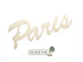 napis PARIS S.jpg