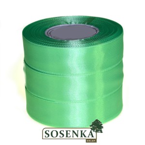 Tasiemka satynowa 25mm/32mb SZAŁWIA 8069